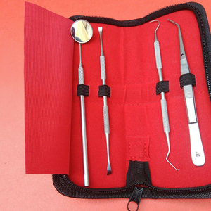 Kit d'outils d'hygiène dentaire professionnels 2026 – 4 pièces en acier inoxydable, détartreur manuel, grattoir, équipement de nettoyage et de restauration dentaire - Product Image 5