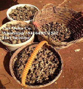 โป๊ยกั๊กแห้ง/Illiciuum Verum - Product Image 2