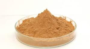 2024 mejor calidad Vietnam Litsea Glutinosa Joss polvo estrella anís enchufe tipo sándalo olor madera Material para uso religioso - Product Image 4