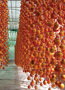 PERSIMMON SEC DOUX ENTIER AVEC LE MEILLEUR PRIX - Product Image 5