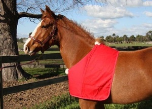 Protège-poitrine anti-frottement pour cheval avec rembourrage doux et protection des épaules en tissu pour la protection du cheval - Product Image 6