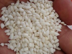 LA MEJOR CALIDAD ARROZ GLUTINOSA/ORYZA GLUTINOSA 2021 - Product Image 6