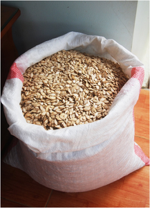 Nueces de calabaza en concha, alta calidad, de VIETNAM - Product Image 3