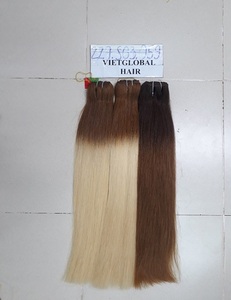Extensions de cheveux Remy vietnamiens et cambodgiens faisceaux de trame de peau droite avec fermeture - Product Image 1
