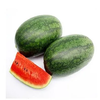 100% Natural Watermelon Fruit for Importers +84 845 639 639