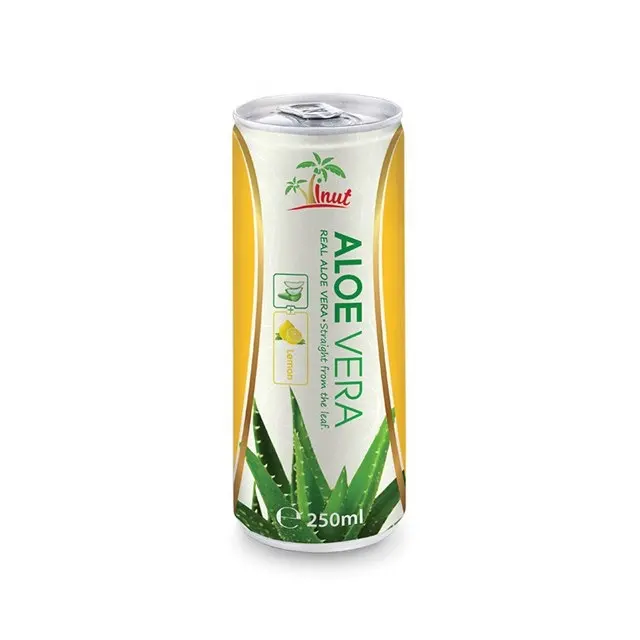Aloe Vera Produkte exportieren natürliches Aloe Vera Getränk Dosen der Marke Vinut 250ml OEM ODM Service