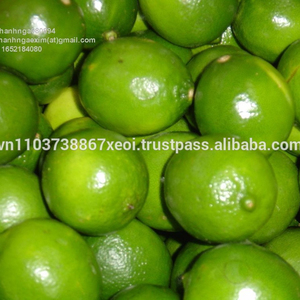 Limón fresco, limón fresco, cítricos verdes - Product Image 5