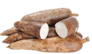 <span class=keywords><strong>Manioc</strong></span> séché, maniocca pour l'alimentation, rhizome <span class=keywords><strong>de</strong></span> tapioca, racines <span class=keywords><strong>de</strong></span> <span class=keywords><strong>manioc</strong></span> en tranches pour l'alimentation - Product Image 6
