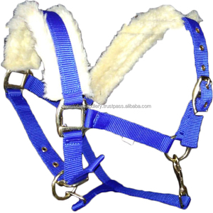 VENDO PP HALTER con ACOLCHADO DE PIEL COLORES NEGRO AZUL ROJO dólar 2 tallas full COB Shetland - Product Image 5