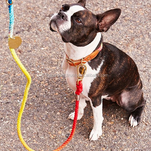 Correa para Perro de Cuerda de Algodón Hecha a Mano de Alta Calidad, Correa para Perro con Diseño Ombre, Hermoso Producto - Product Image 1