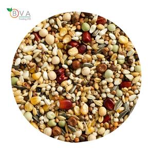 Ukraina Nhà Máy Cung Cấp Tốt Nhất Bán Chim Bồ Câu Thực Phẩm Hỗn Hợp Cho Thức Ăn Gia Cầm, Hạt Giống Cho Bán Buôn Moulting Mix - Product Image 1