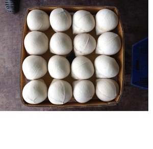 Coquille de noix de coco biologique de haute qualité - Product Image 1