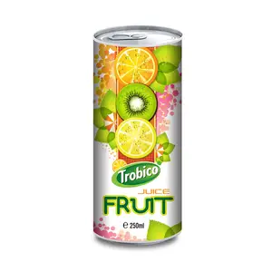 Trobico Brand 250ml Canned Fruit Juice Fresh Fruit Made In Vietnam