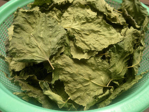 Poudre de mûre Viet Delta Holiday, durée de conservation 1 an, origine Vietnam - Product Image 3