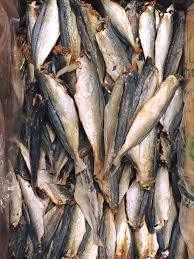 ปลาสควอชแห้ง - ปลาแมคเคอเรลแห้ง - Product Image 3