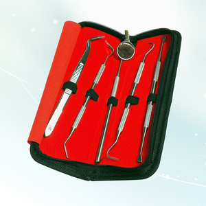 2026 Best Selling Professional Dental Oral Hygiene Kit 5 Tools Deep Cleaning Scaler <b>Teeth</b> Care Set LA ELAHI - Product Image 3