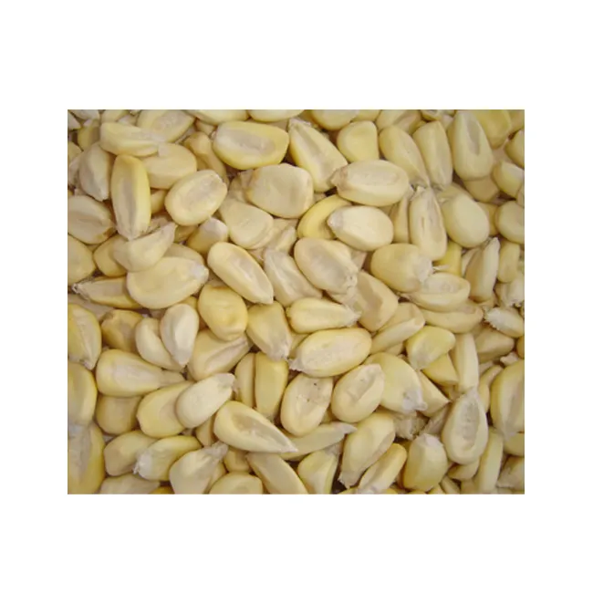 Высоковостребованная Органическая вкусная белая кукуруза, экспортер из Индии