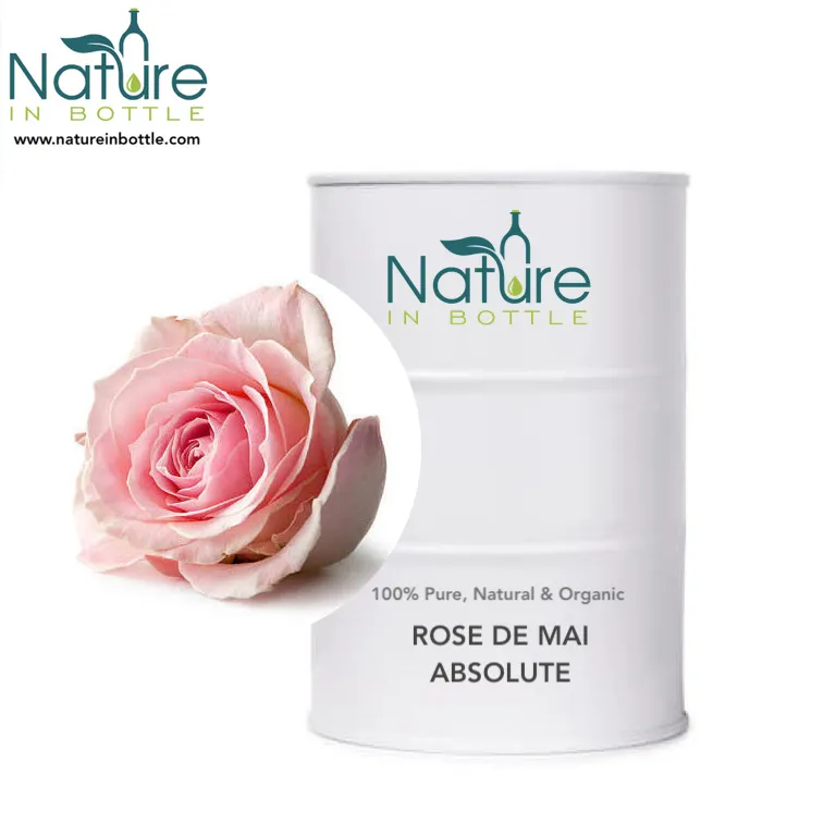 Huile de Rose biologique de Provence, huiles essentielles, naturelles, pures, abstraites, vente en gros, prix en vrac