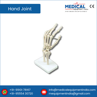 Articulación de mano Artificial de tamaño real, modelo de articulación de mano anatómica hecha a medida, esqueleto de mano de PVC