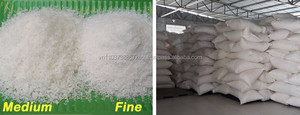 ผงโปรตีนมะพร้าว/มะพร้าวตากแห้งใน2024 - Product Image 5