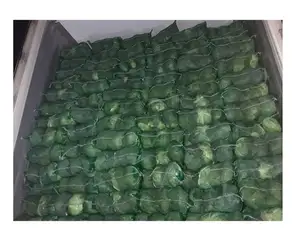 新鲜绿色卷心菜-价格合理-越南2020
