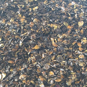 เม็ดมะม่วงหิมพานต์สำหรับเครื่องทำความร้อน,การเผาไหม้ด้วยราคาที่แข่งขันเวียดนามในปี2020 - Product Image 4