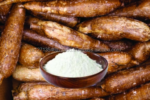 Briquetas de carbón Modificado Tapioca/Almidón de yuca - Product Image 4