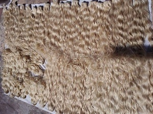 ผมบลอนด์จำนวนมากในเจนไน - Product Image 2