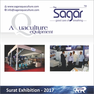 Aérateur de Surface flottant, haute efficacité, 3HP, palette aérateur de Surface - Product Image 6