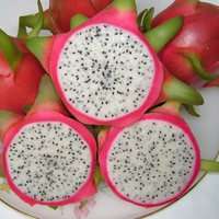Nieuw Gewas Drakenfruit Met Hoge Kwaliteit En Beste Prijs Ms. Vakantie