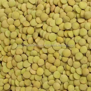 2018 /new High Quality Whole And Split Lentils/Red Lentils/Green Lentils