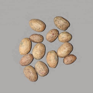 Vente en gros de fleurs et de plantes séchées Amra Pod - Product Image 1