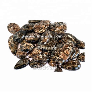 Tự nhiên turritella lỏng đá quý kết hợp kích thước hình dạng Cabochon đối với trang sức làm - Product Image 1