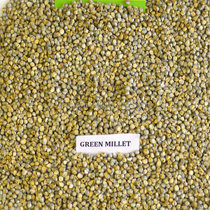 ลูกเดือยสีเขียวเกรดสูงสำหรับการบริโภคของมนุษย์ - Product Image 4