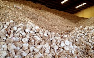 เวียดนามผู้ผลิตสำหรับเครื่องดื่มแอลกอฮอล์อุตสาหกรรมราคาที่ดีสำหรับผู้ซื้อพื้นเมืองมันสำปะหลังชิป - Product Image 4