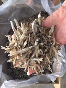 Vietnam poisson séché poisson d'anchois séché disponible 2021 - Product Image 4