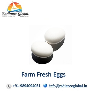 Farm Fresh Chicken Eggs for Sale - Product Image 2