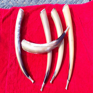 Cuerno de Soplado 100% Natural de la Mejor Calidad - Product Image 2
