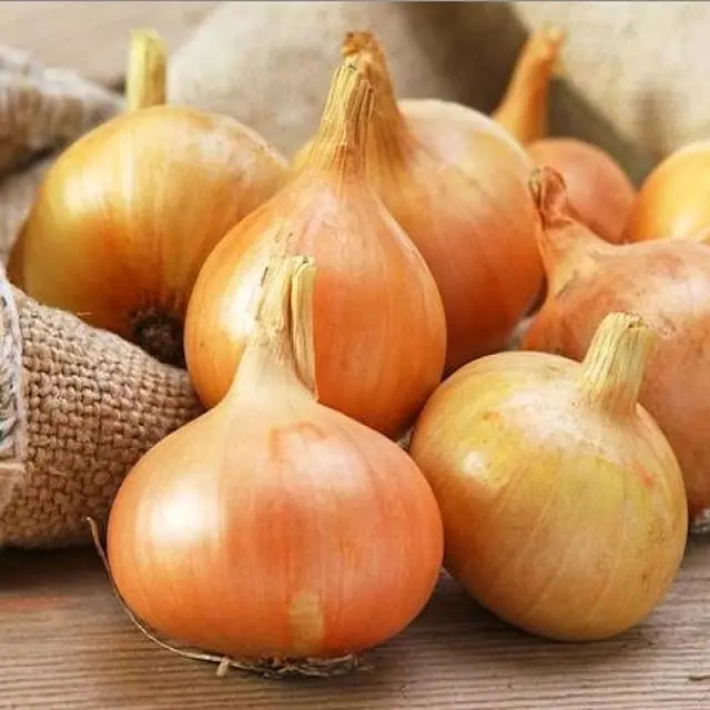 Grade A Quality Fresh Red, Yellow and White Onion