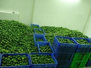 Limón fresco, limón fresco, cítricos verdes - Product Image 3