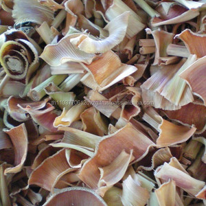 ตะไคร้แห้ง / ผงสกัด / รับผลิตแบบ OEM / แบรนด์ส่วนตัว / ผลิตภัณฑ์ของประเทศไทย / ชาสมุนไพร / เกรดพรีเมียม - Product Image 2