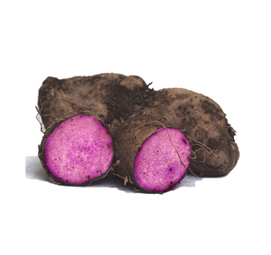 Wholesale Frozen Purple Yam / Vietnam Sweet <b>Potato</b> / Holiday in 2020 - Product Image 6