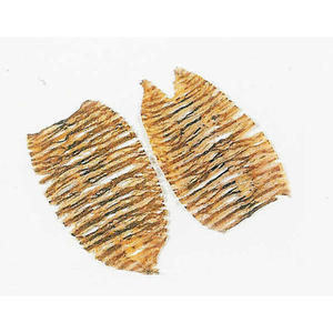 Hot Sale Food Processing Machinery Squid Roaster <b>Certificated</b> by KC(S-788) - Product Image 6