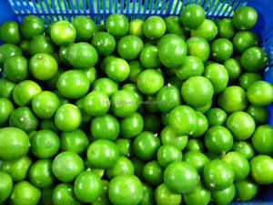Lime verte fraîche de haute qualité sans pépins - Product Image 4