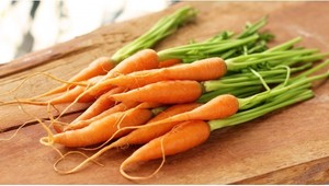 เวียดนามแครอทขนาดเล็กสำหรับขาย - Product Image 3