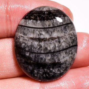 Cabochons Orthoceras de haute qualité Pierres précieuses en vrac Belle forme de mélange lisse de toutes tailles Pierres précieuses de guérison à dos plat faites à la main - Product Image 5