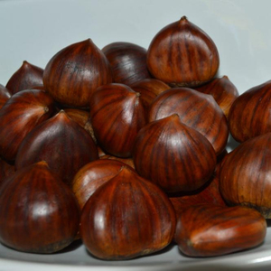 Castañas secas orgánicas Grado a Sudáfrica Venta al por mayor de castañas Kernel Gunny Bag Packaging - Product Image 1