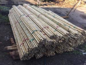 NATURAL GREEN <b>BAMBOO</b> POLES VIET NAM EXPORTING-<b>RAW</b> <b>MATERIAL</b> - Product Image 6