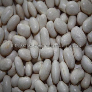 Granos de riñón rojos con luz redonda americana, granos de riñón rojos moteados, importación - Product Image 5