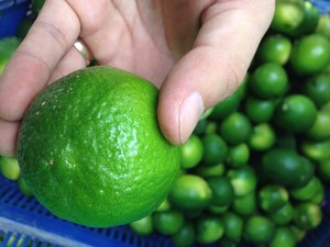 Citron vert juteux et sans pépins/citron avec Premium Grade-Prix bon marché - Product Image 6